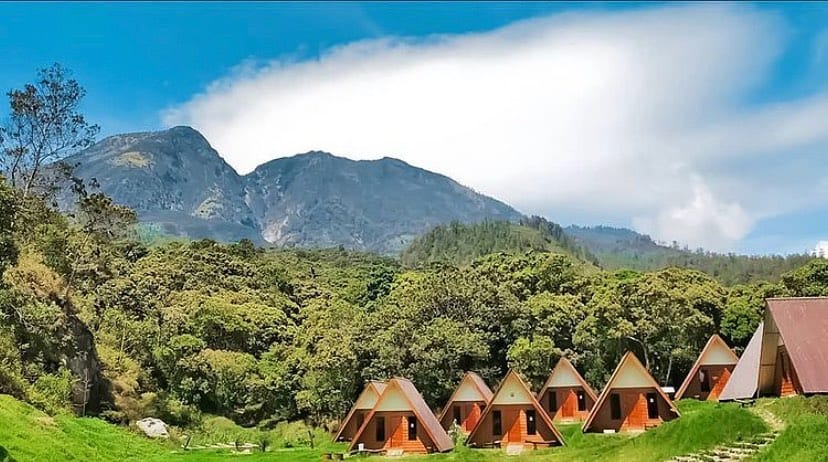 Sakura Hills Tawangmangu Jadi Primadona Baru Wisata Kemuning